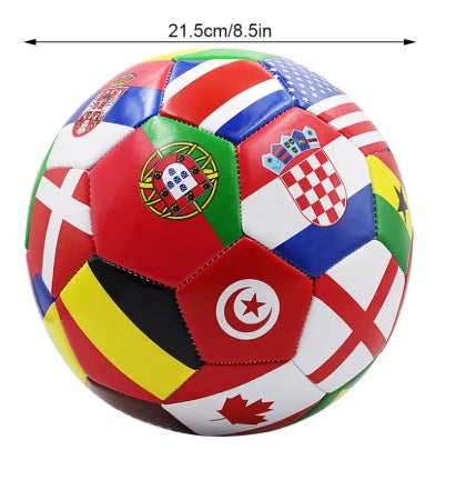 World Cup Teams Official Size 5 National ball